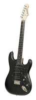 Electric Guitar BERSTECHER Deluxe - Black / Floral Black + hard case - made in Germany