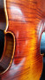 violin-left-handed-gasparini-orchstra-back.jpg