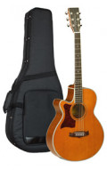 category = Acoustic Guitars Factory-new buy at www.leihinstrumente
